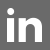 Icon Linkedin2